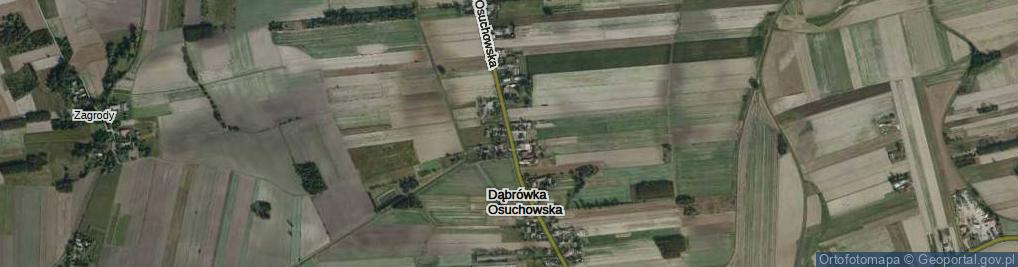 Zdjęcie satelitarne Dąbrówka Osuchowska ul.